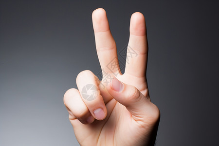 手势手指数字沟通图片