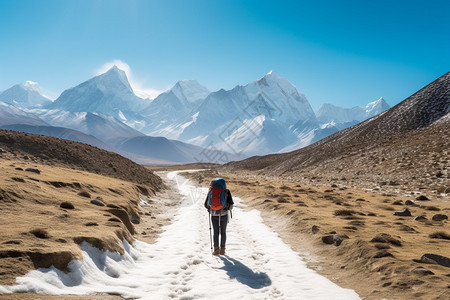 荒地上步行的旅客图片