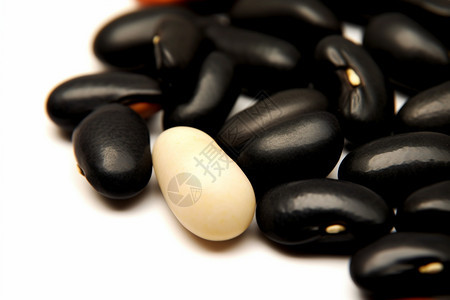 健康营养的黑豆图片