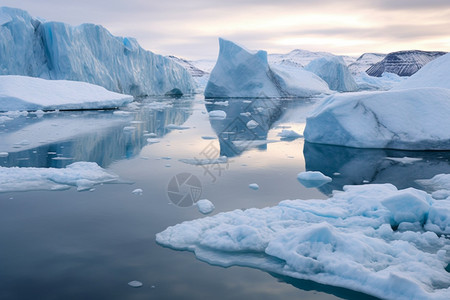 海洋上漂浮的冰块图片