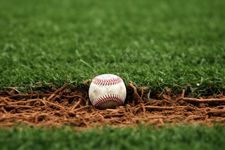 停留在草地上的棒球图片