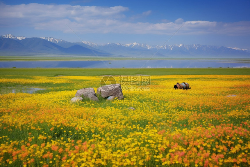 伊犁的花海图片