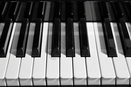 钢琴键盘的特写图片