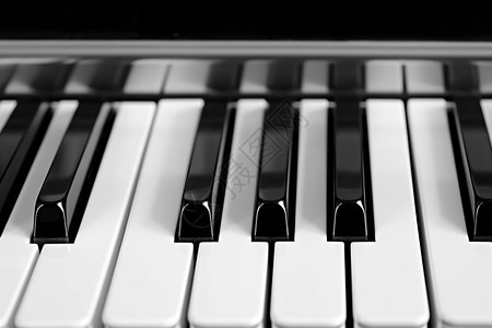 钢琴黑白键背景图片