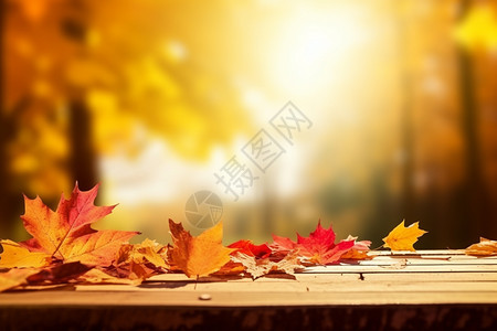 秋季公园中的落叶图片