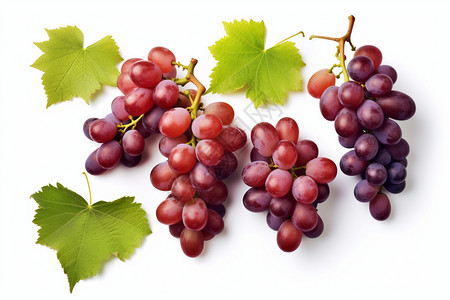 多汁的葡萄背景图片