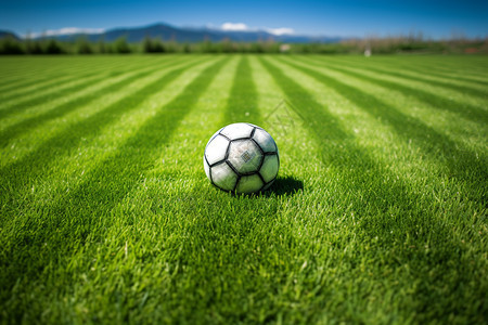 草地上的足球运动背景图片