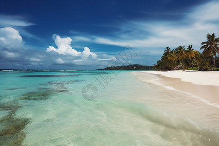 沙滩大海风景图片