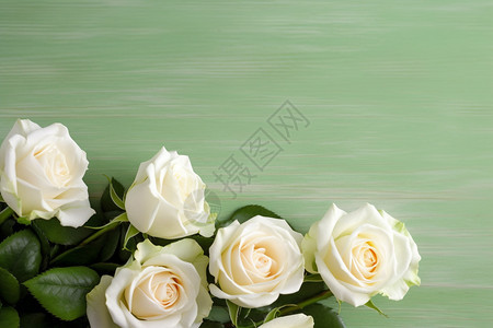 桌上的白玫瑰图片