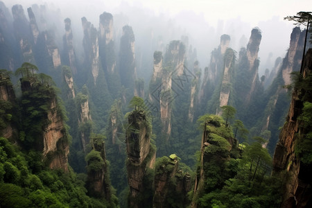 森林里的神秘山峰图片