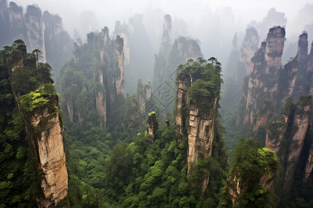 森林中耸立的山峰图片