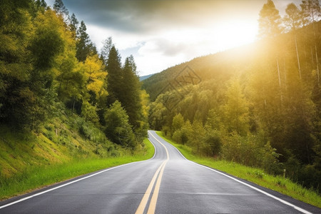 郁郁葱葱的森林道路景观图片