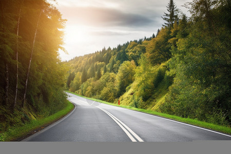 夏季森林中的道路景观图片