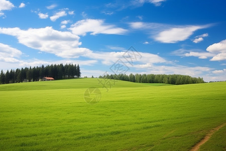 夏天大草原的美丽景观图片