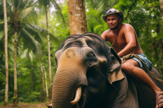 热带地区骑大象的外国男子图片