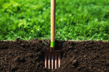 土壤中的园艺工具高清图片