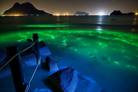 夏天美丽的荧光海滩景观背景图片