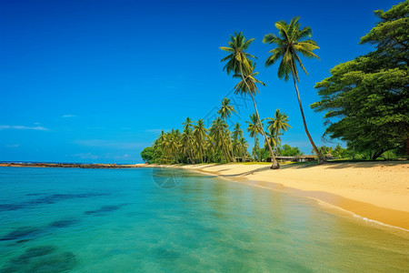 热带地区度假岛屿的美丽景观图片