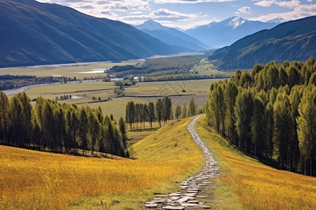 夏季山地景观图片