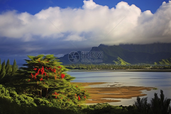 度假岛屿的美丽景观图片