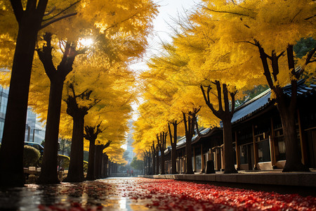 美丽的东京城市建筑景观背景图片