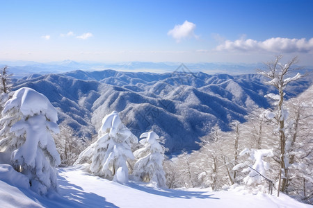 滑雪胜地图片