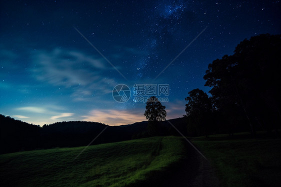 夜晚的森林图片