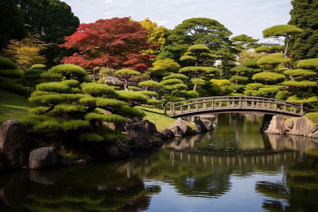 插画春天小池塘亚洲的公园景观背景