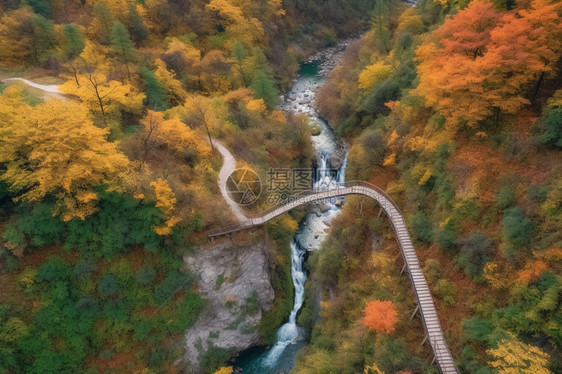 秋天的丛林峡谷图片