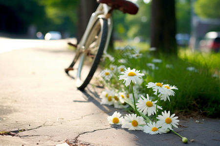 乡村地面道路上的花图片