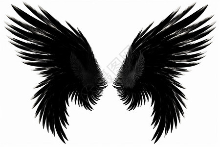 黑色对称的翅膀图片