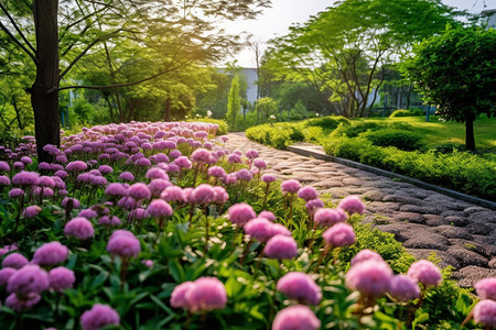 花园里开放的花朵图片