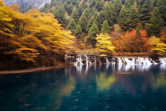 秋天森林瀑布的美丽景观图片