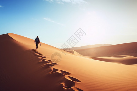 沙漠旅行者图片