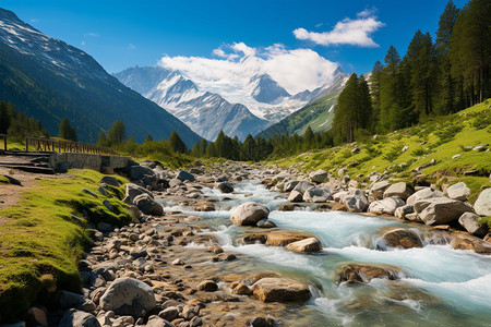 夏季阿尔卑斯山的美丽景观图片