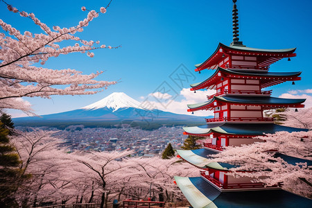 春天富士山的美丽景观图片