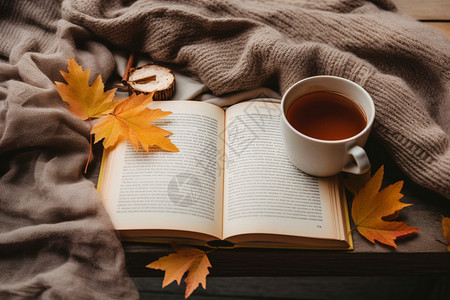 秋季午后悠闲的阅读时光图片