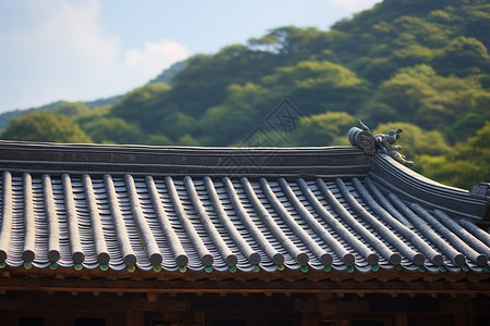 传统屋顶的建筑图片