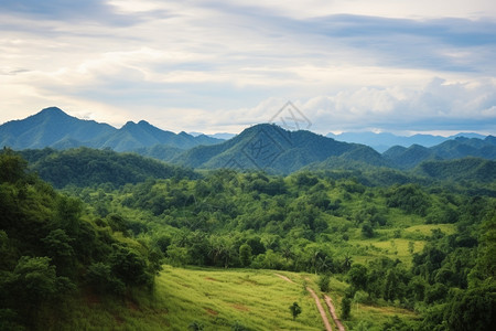 美丽的绿色山脉图片