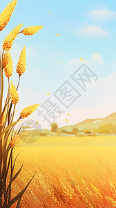 田地里金黄的小麦图片
