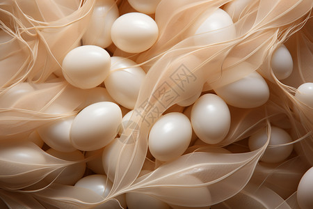 活珠子毛鸡蛋不同形状的丝绸茧背景