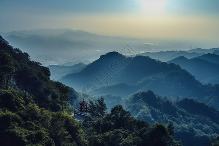 夏季清晨的山林图片