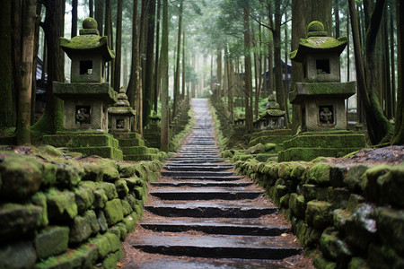 山中台阶旁的神社图片