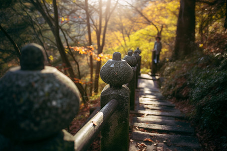 秋天森林公园的徒步旅行图片