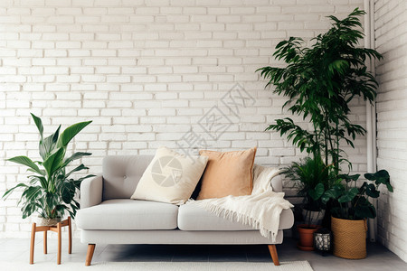 室内家居的绿植盆栽场景背景图片