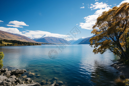 清澈的湖水美景图片
