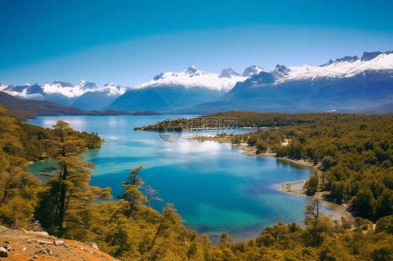 雪山下的湖图片