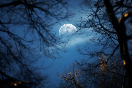 夜晚的月亮图片