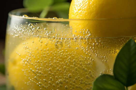 新鲜的柠檬苏打水图片