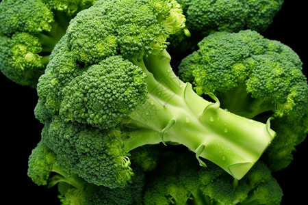 健康蔬菜西兰花图片